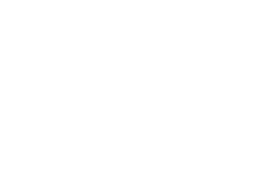 timeless white logo